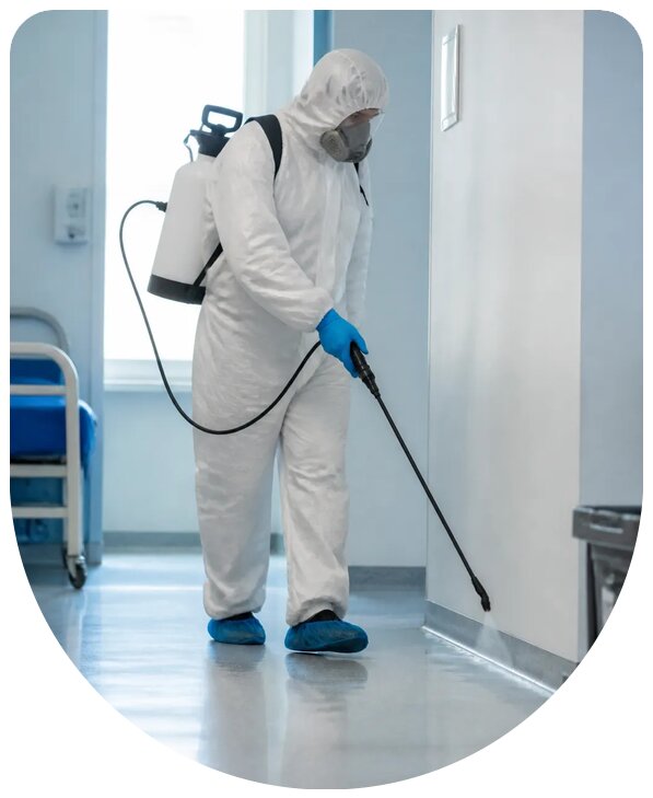 Комплексная профессиональная дезинсекция больницы в Полевской